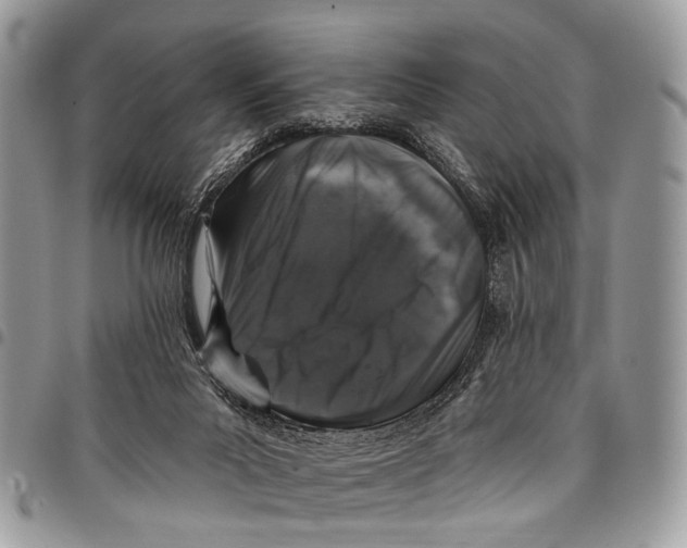 X0000097790023200803281733
