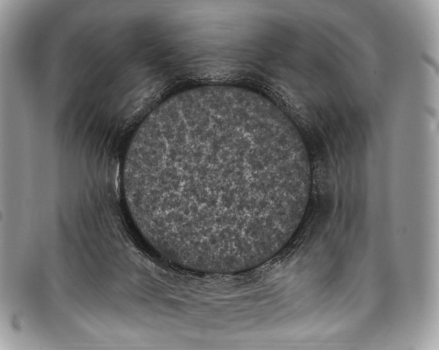 X0000097790024200803281733