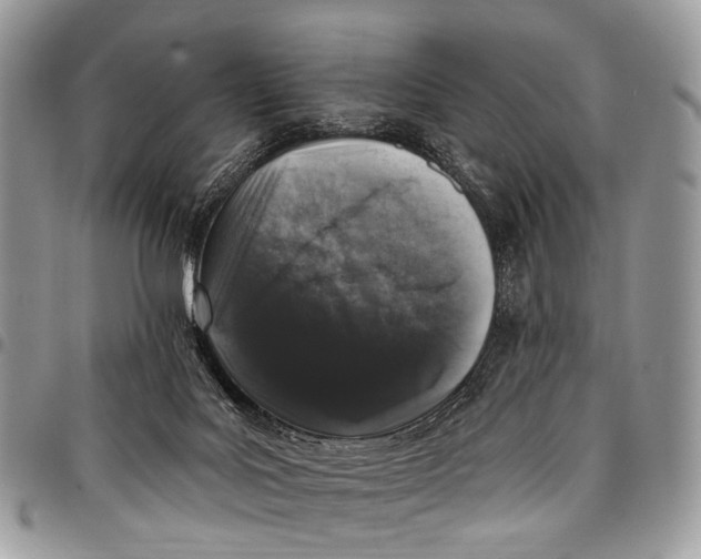 X0000097790027200803281733