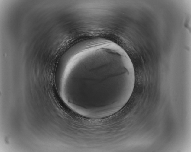 X0000097790031200803281733