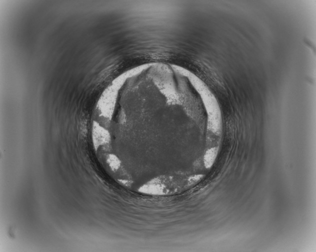 X0000097790032200803281733
