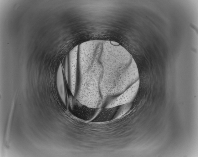 X0000097790033200803281733