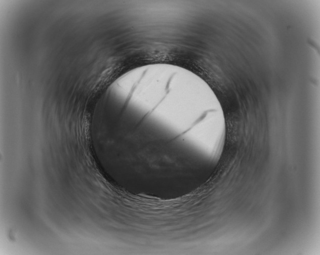 X0000097790035200803281733