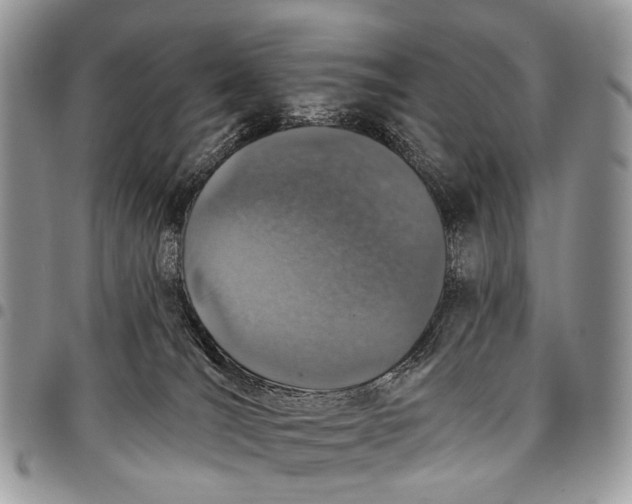X0000097790036200803281733