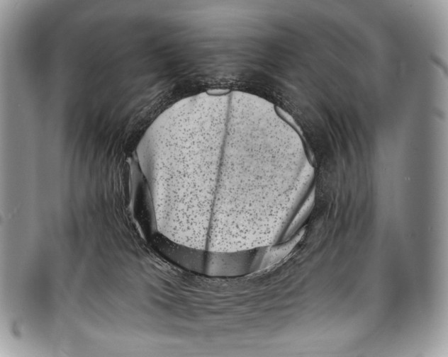 X0000097790037200803281733