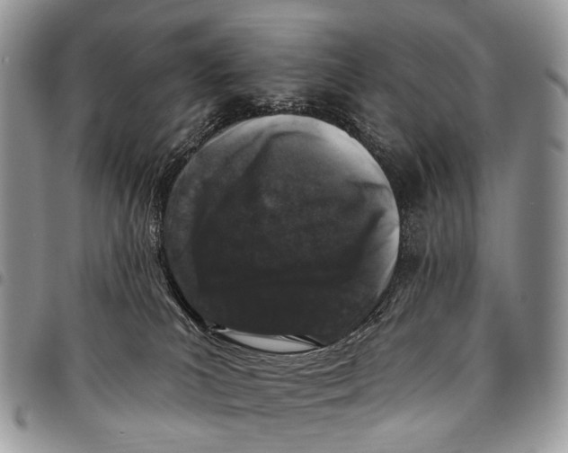 X0000097790039200803281733