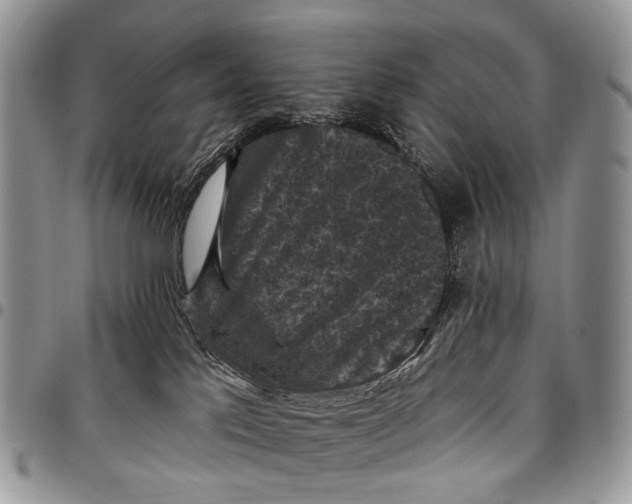 X0000097790041200803281733