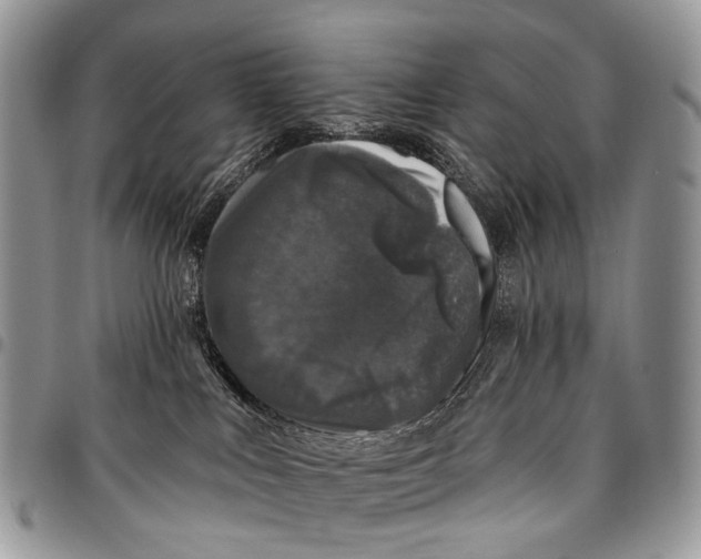 X0000097790043200803281733