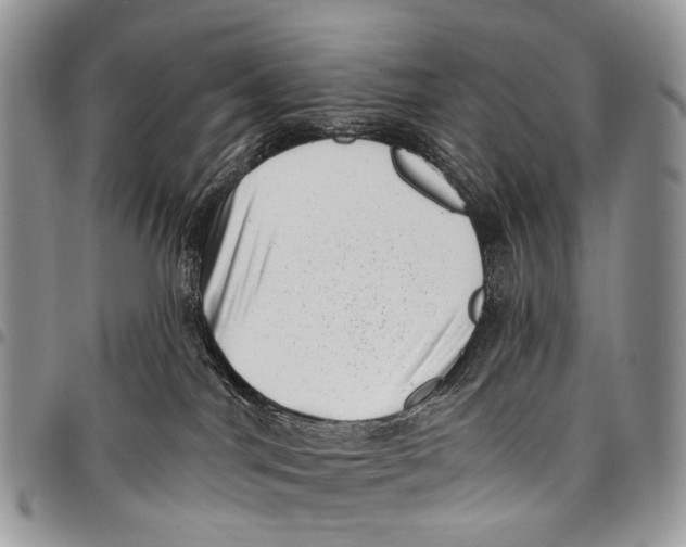 X0000097790044200803281733