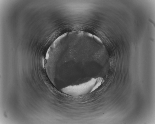 X0000097790046200803281733