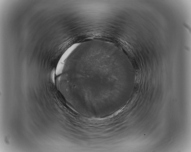 X0000097790047200803281733