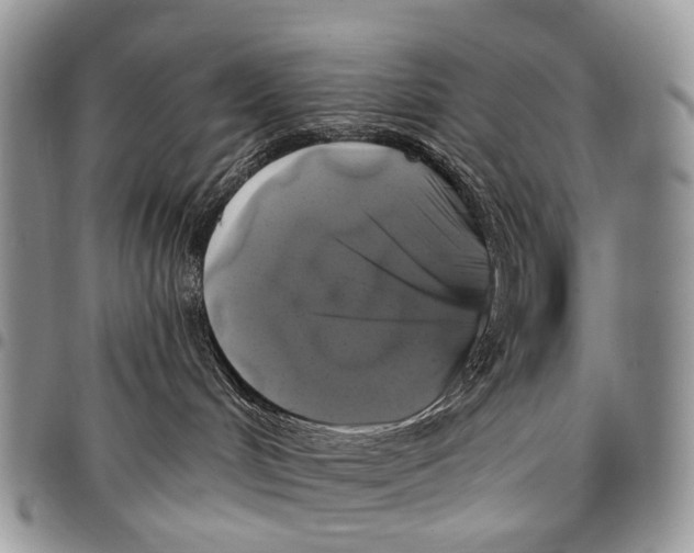 X0000097790048200803281733
