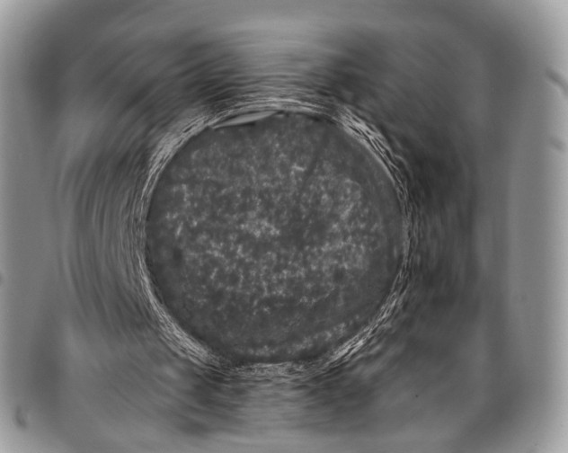X0000097790049200803281732