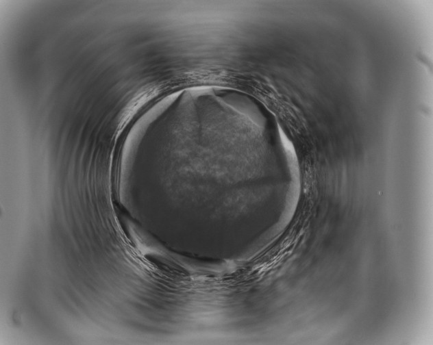 X0000097790052200803281732