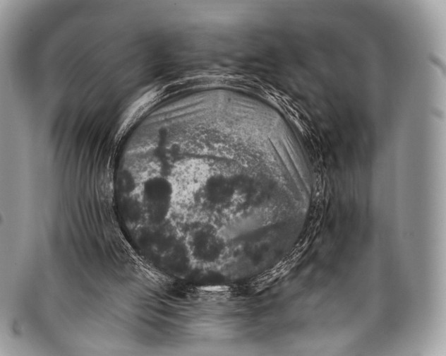 X0000097790053200803281732
