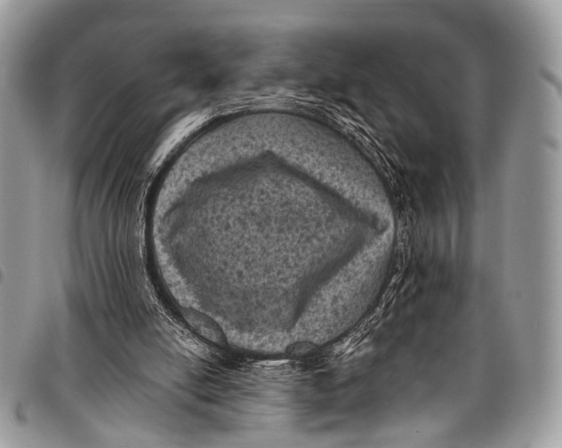 X0000097790054200803281732