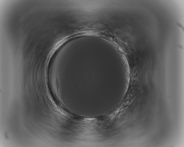 X0000097790055200803281732