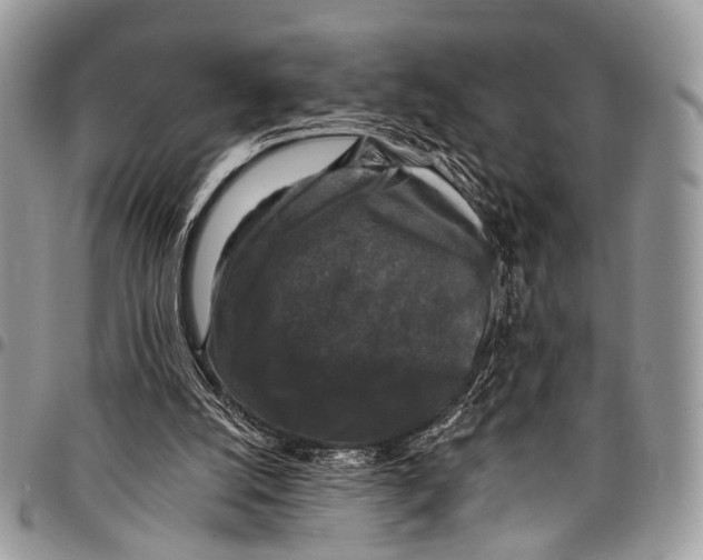 X0000097790056200803281732