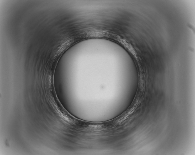 X0000097790057200803281732