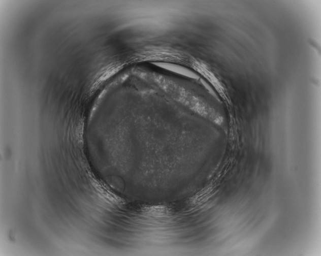X0000097790058200803281732