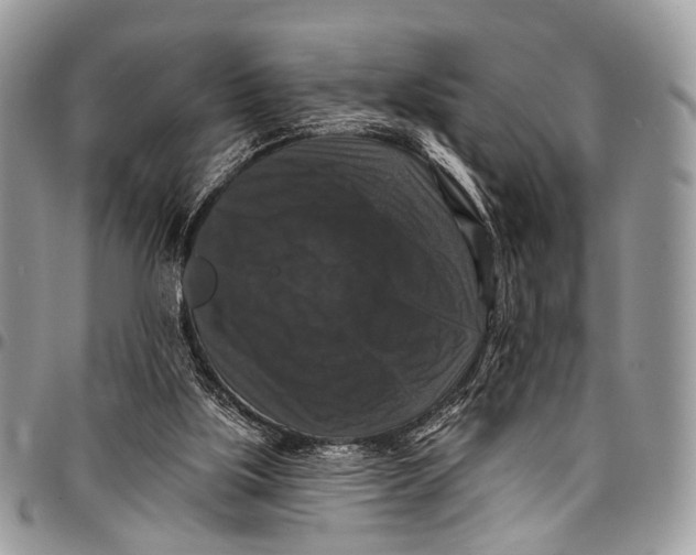 X0000097790059200803281732