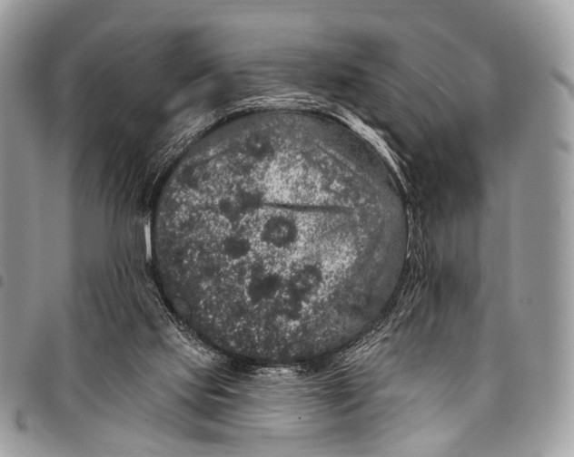 X0000097790061200803281732