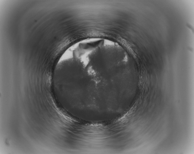 X0000097790063200803281732