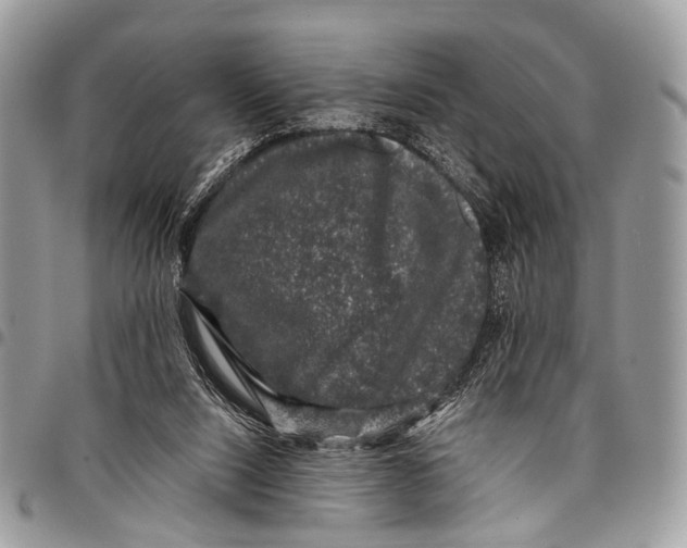 X0000097790064200803281732