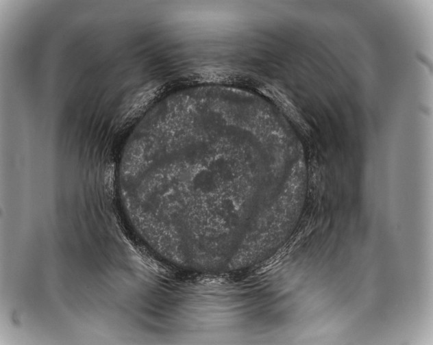 X0000097790066200803281732