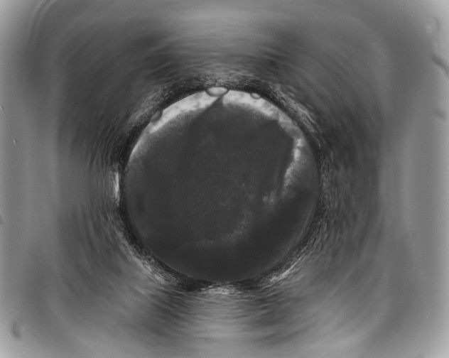 X0000097790067200803281732