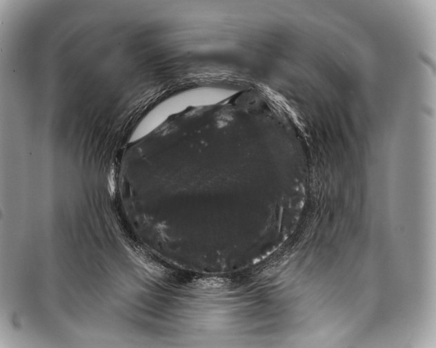 X0000097790069200803281732