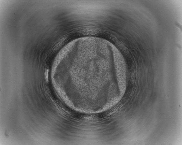 X0000097790070200803281732