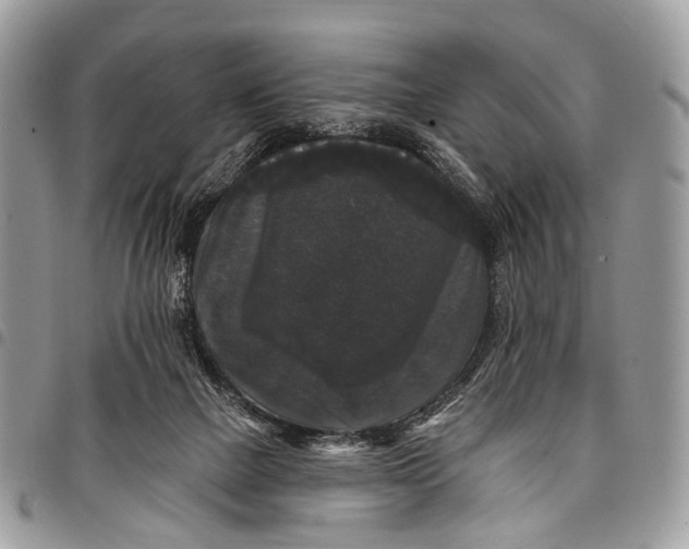 X0000097790073200803281732