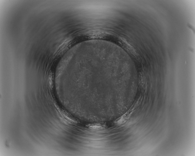 X0000097790074200803281732