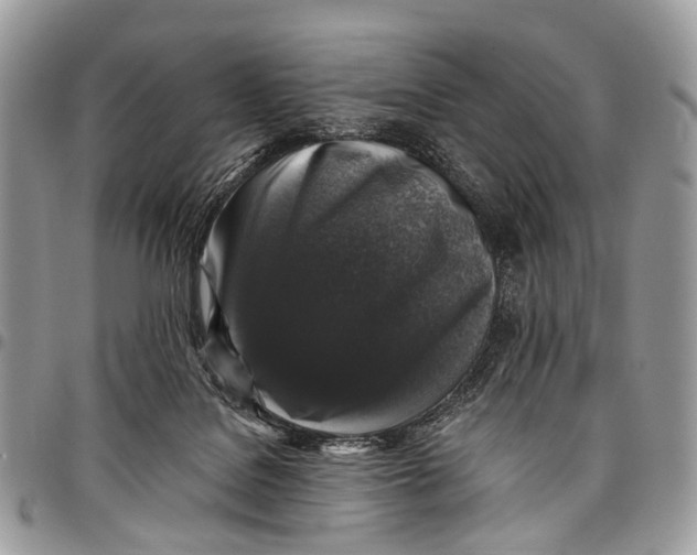 X0000097790076200803281732