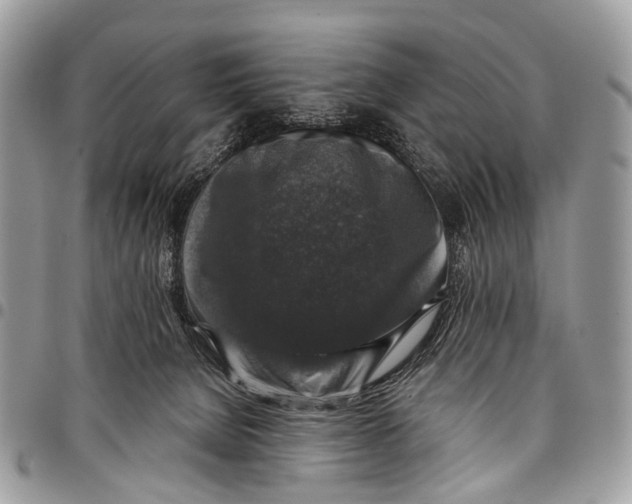 X0000097790080200803281732