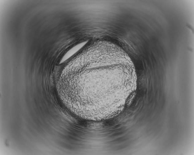 X0000097790081200803281732
