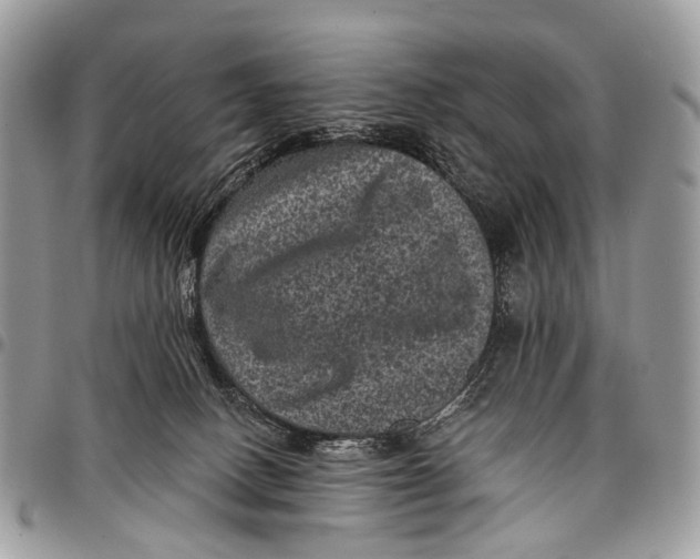X0000097790082200803281732