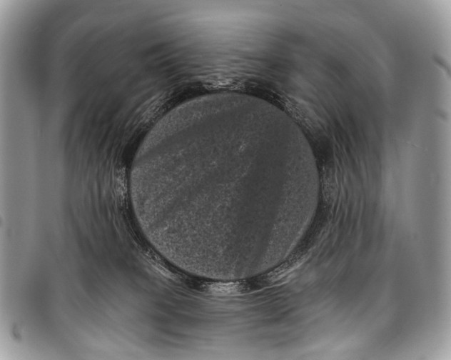 X0000097790085200803281732