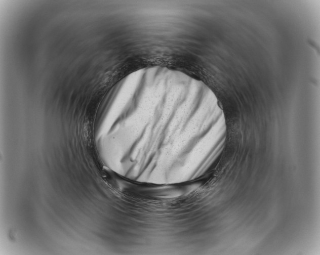 X0000097790088200803281732