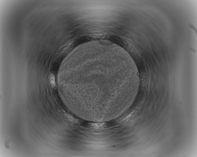 X0000097790089200803281732