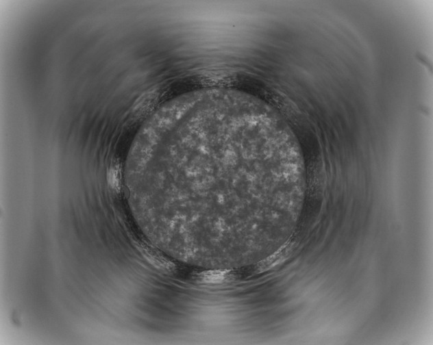 X0000097790090200803281732