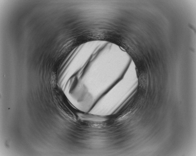 X0000097790092200803281733