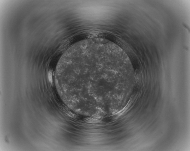 X0000097790094200803281733