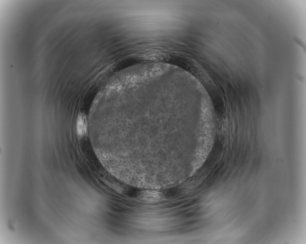 X0000097790095200803281733