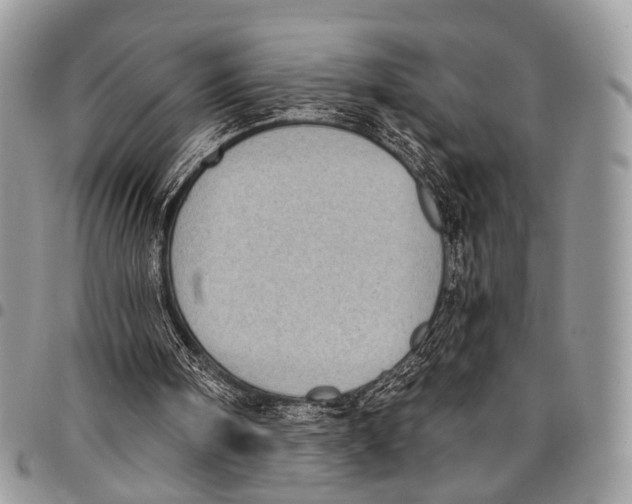 X0000097790098200803281732