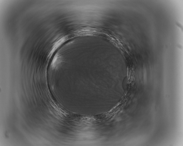 X0000097790099200803281732
