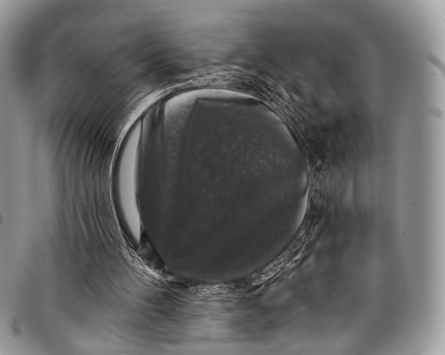X0000097790100200803281732