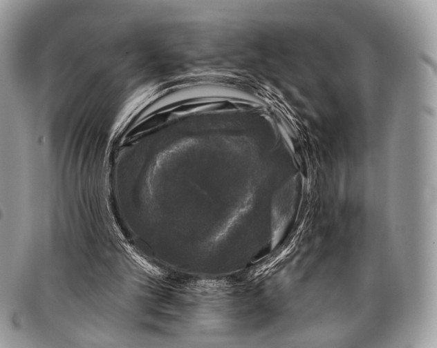 X0000097790101200803281732
