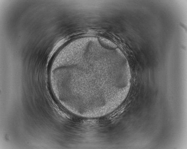 X0000097790102200803281732
